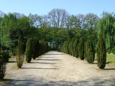 Algemene Begraafplaats hoofdlaan