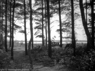 Esmeer bij Veenhuizen