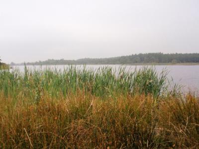 Esmeer bij Veenhuizen