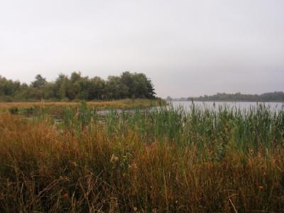 Esmeer bij Veenhuizen