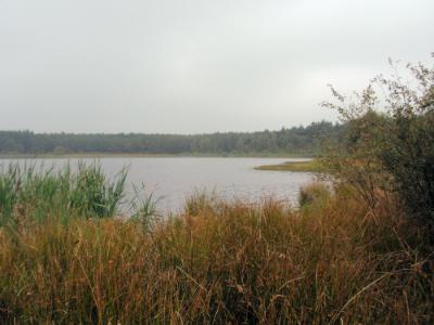 Esmeer bij Veenhuizen