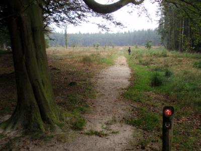 Esmeer bij Veenhuizen bos