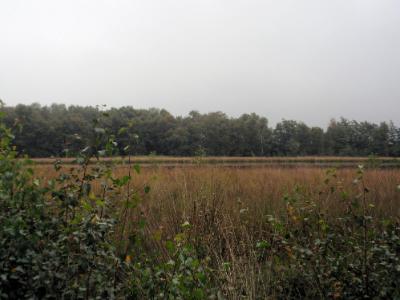 Esmeer bij Veenhuizen