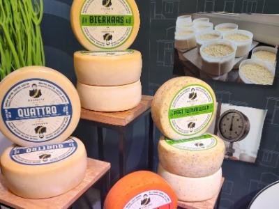 een selectie kazen van kaasmakerij Kaaslust